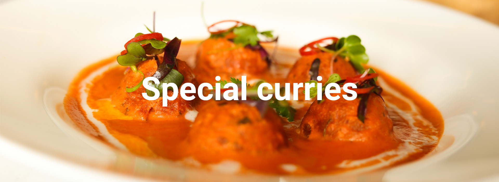 Indian-food-menu-banner-odesi-aroma (6)
