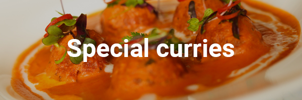 special curries 600 x 200